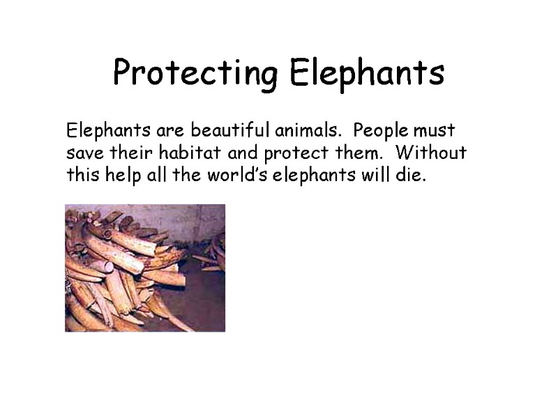Protecting Elephants  Elephants are beautiful animals.  People must save their habitat and